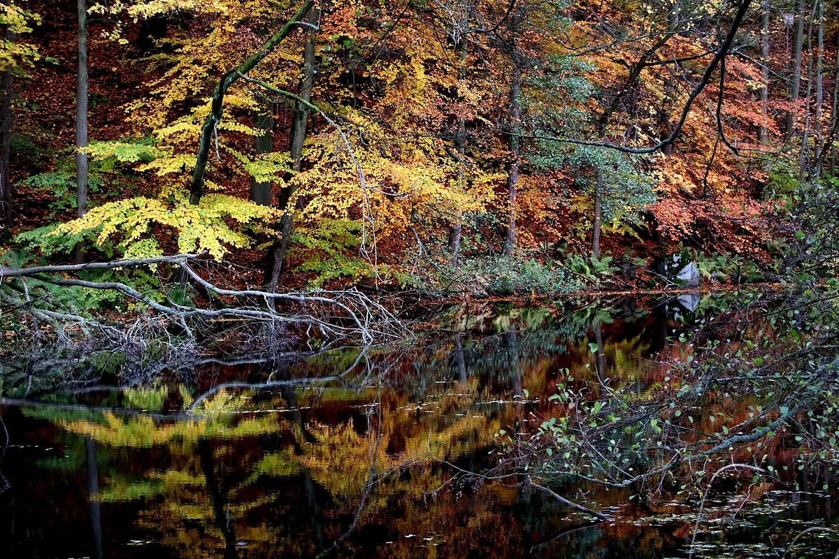 Environmental Protection Activities